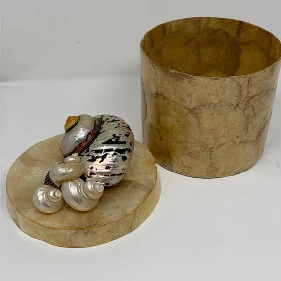 Capiz Shell Cylindar Box w/ Top w/ Large Shells - Picture 5 of 7